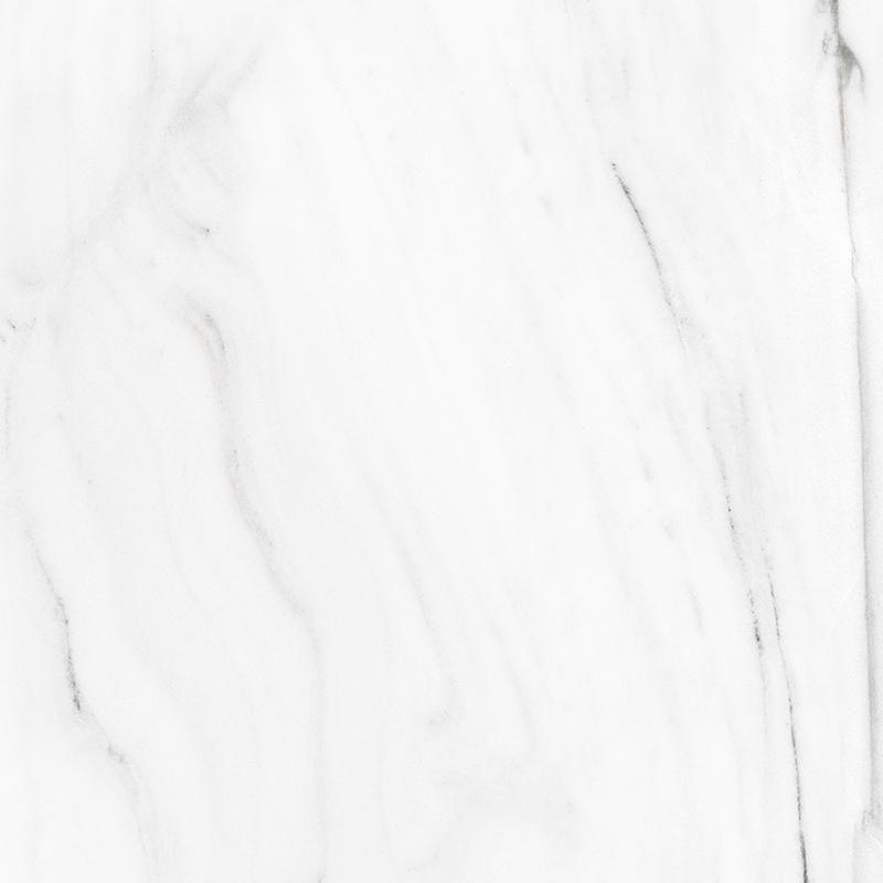 【 SCS01190DE埃拉（白）】