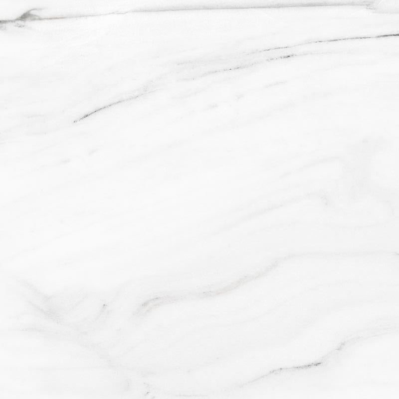 【 SCS01190DE埃拉（白）】