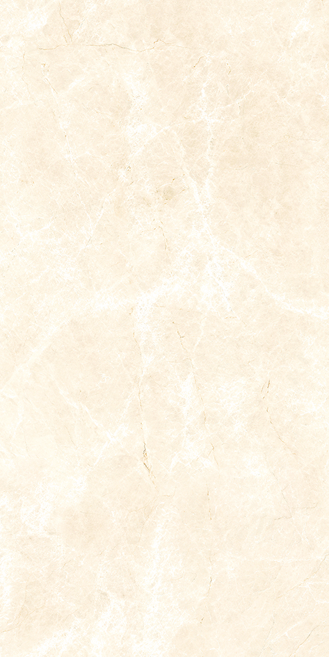 SKB201120240S白玉兰