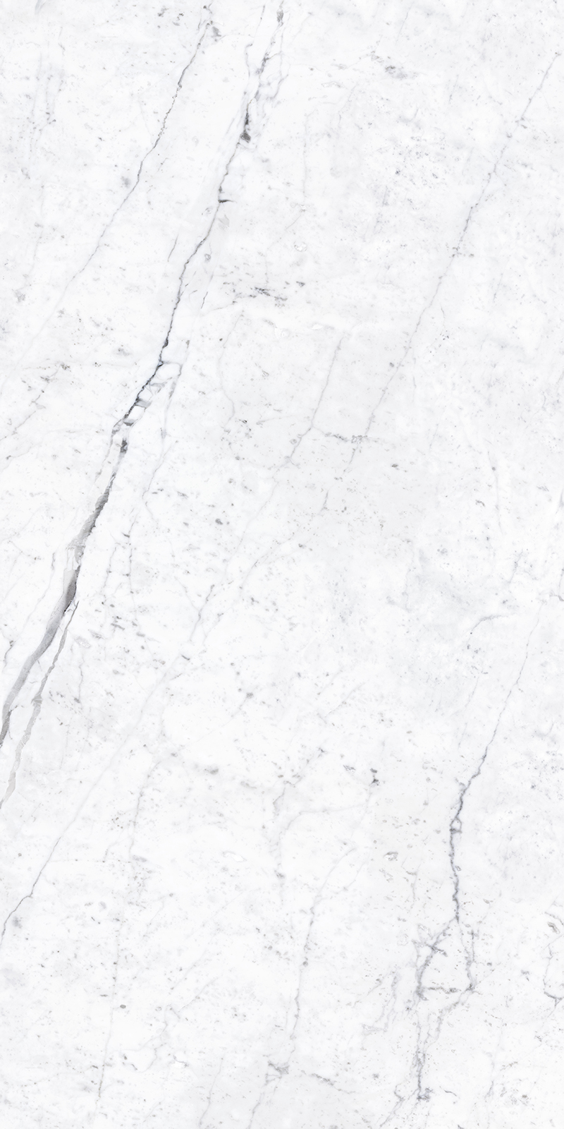 【 FCT00280160S卡让白 】